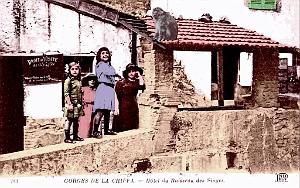 Gorges de la Chiffa -Hotel du ruisseau des singes